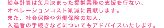 給与お任せ隊